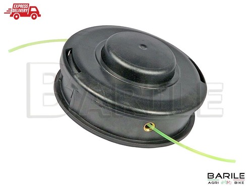 Testina batti vai - batti,