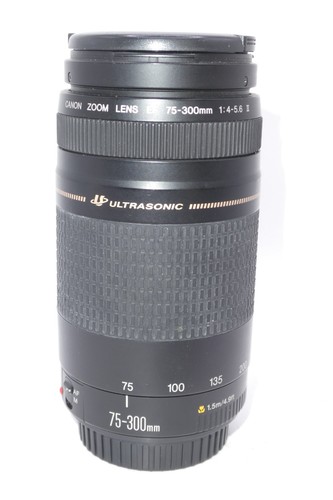 Canon obiettivo zoom - ef,