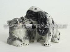 COPPIA COCKER E GATTO IN