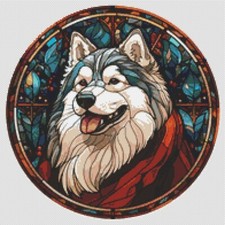 Pastore australiano cane