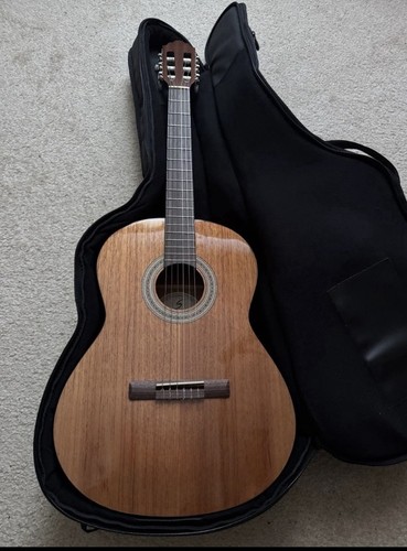 Greg bennett chitarra acustica - bennett,