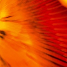 Nottingham Forest: un disco completo,..., Attaway, Pete