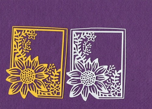 Cornice girasole con - cornice,