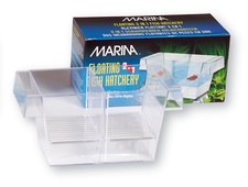 Scatola deposizione delle - scatola,