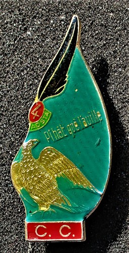 Alpini distintivo cdo - distintivo,