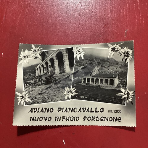 Aviano piancavallo nuovo - aviano, piancavallo,nuovo