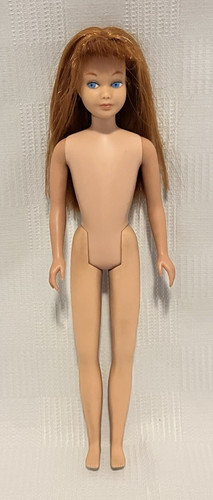 Barbie skipper bambola - skipper, mattel