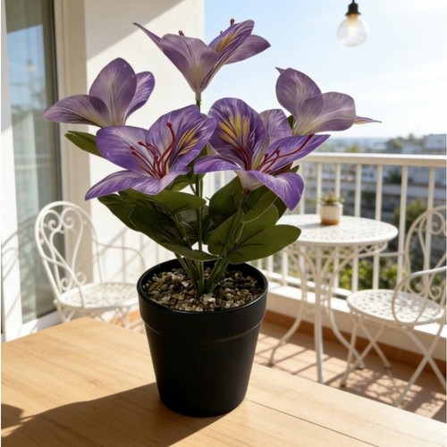 Pianta fiori di magnolia - fiori,