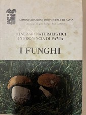 libri antichi e da collezione