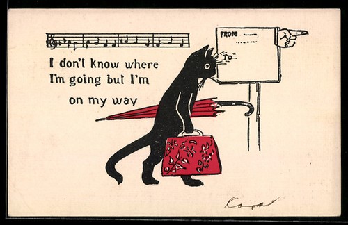 Gatto nero con borsa - , da