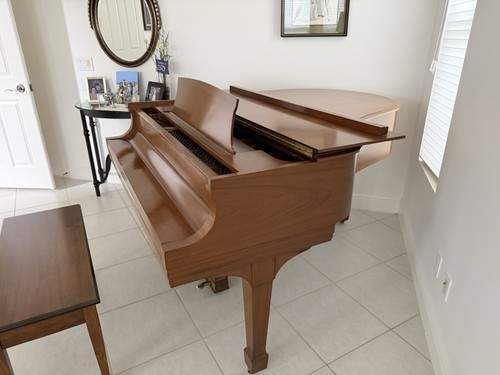 Steinway baby grand - grand, model