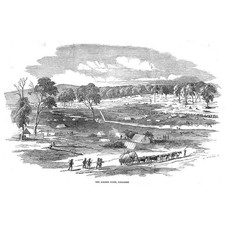 AUSTRALIA La punta d'oro