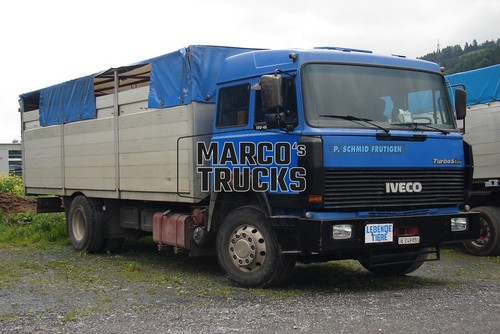 Foto camion iveco turbostar - foto,