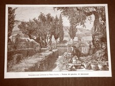 Terra santa o Terrasanta nel 1879 Veduta del Giardino di Getsemani Gerusalemme