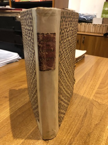 1921 pitigrilli la - -, cintura