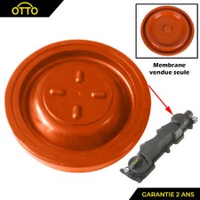 Membrana Aria Culatta Valvole