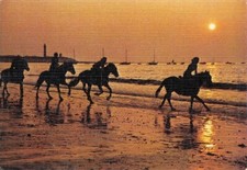 Passeggiata A Cavallo Sulla Spiaggia Al Tramonto