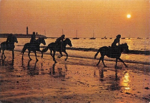 Passeggiata cavallo sulla - passeggiata,