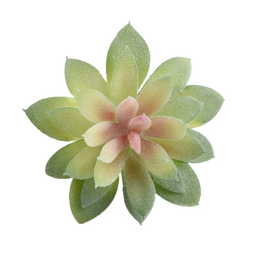 Nuovo pezzo succoso fogliame - 1,