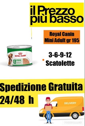 Royal canin mini adult - royal,