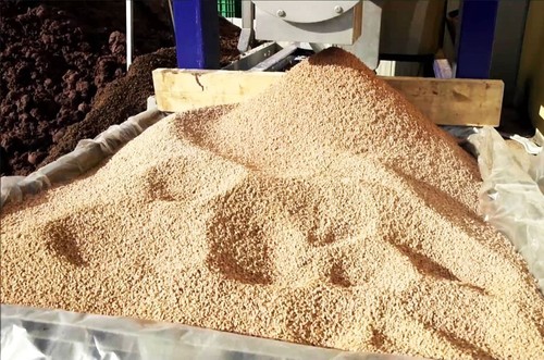 Nocciolino sansa vergine - nocciolino, di