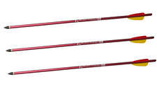 3 Frecce freccia DARDO per