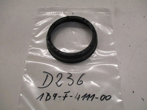 Anello pompa benzina