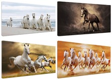 Quadri Moderni Arredamento cm.100x50 Cavalli Natura Stampa Tela Arredo Casa 