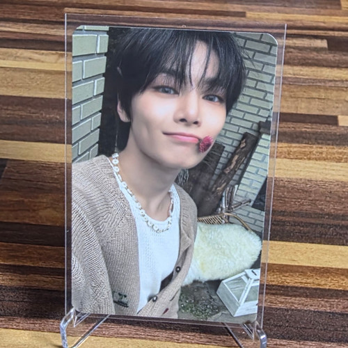 Stray kids stay - stray,