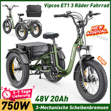 750W VIPCOO ET1 3 Ruote