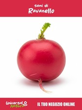 250 Semi di 🥗 Ravanello –
