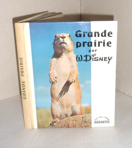 Grande prairie walt - grande,