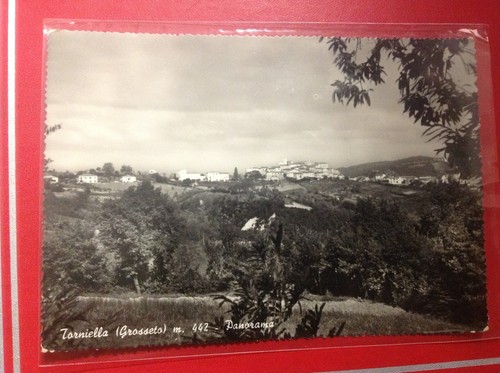 003 torniella panorama - -,