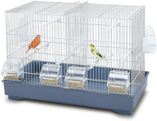 Cova 55: Gabbia per Uccelli