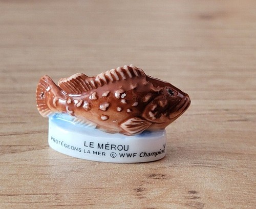 Fève mérou - -, le