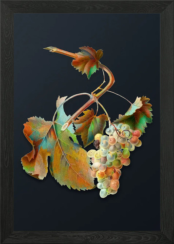 Quadro stampa tela poster - su,