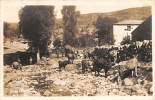 ab2890 - CARTOLINA D'EPOCA - Genova Provincia : S. Stefano d'Aveto