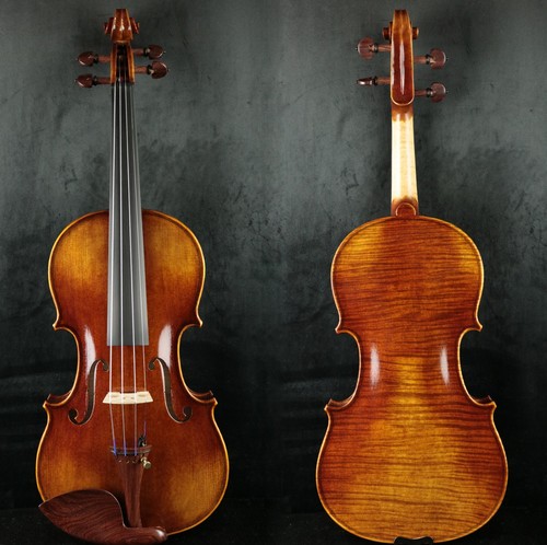 Grande maestro violino - maestro,