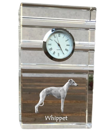 Whippet piccolo inglese - whippet,,