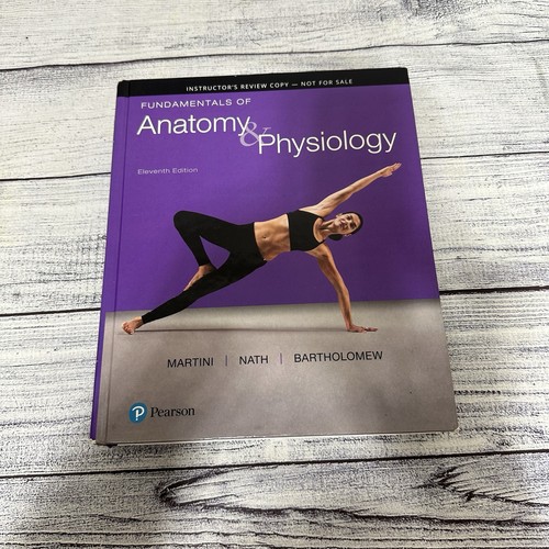 Fundamentals anatomy - fundamentals, &
