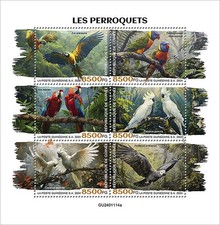 PARROTS Birds Tropical Bird