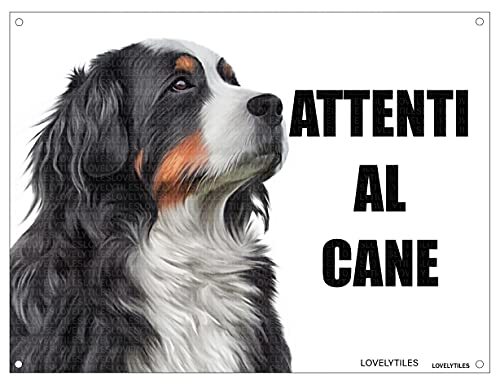 Bovaro del bernese - del, al