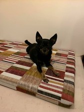 materassino per cani misura