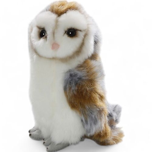 Gufo barbagianni alto circa - gufo,,