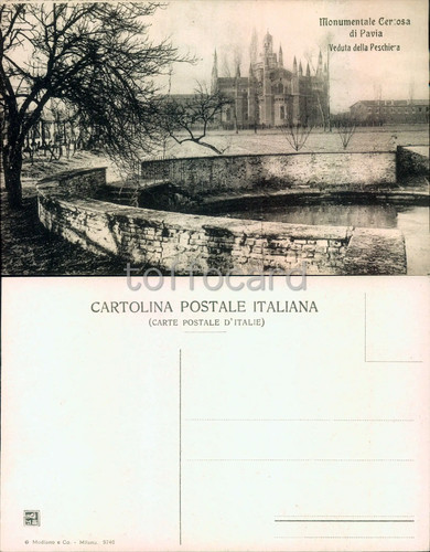 Pavia citta veduta - pavia, citta'-veduta