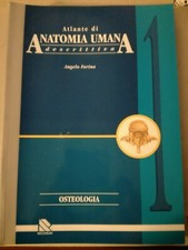 &257 ATLANTE ANATOMIA UMANA