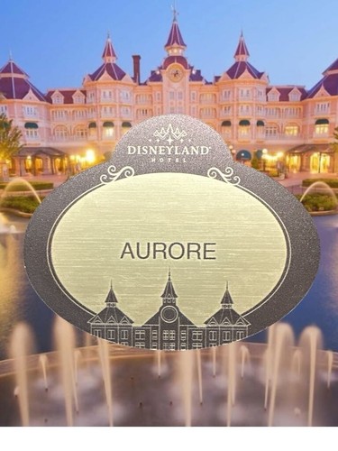 Disneyland paris - disneyland,