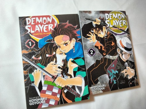 Demon slayer kimetsu yaiba - slayer,