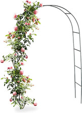 Arco per Rose, Rampicanti