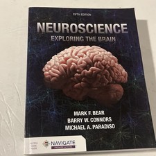 Neuroscience: Exploring The